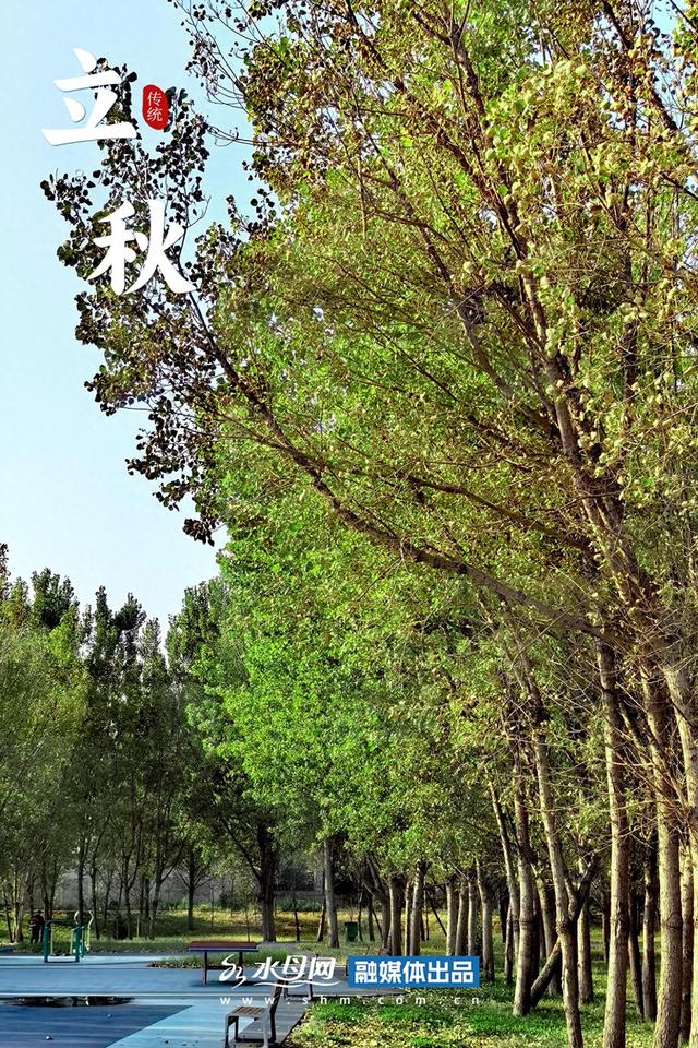 节气里的大美烟台｜立秋篇