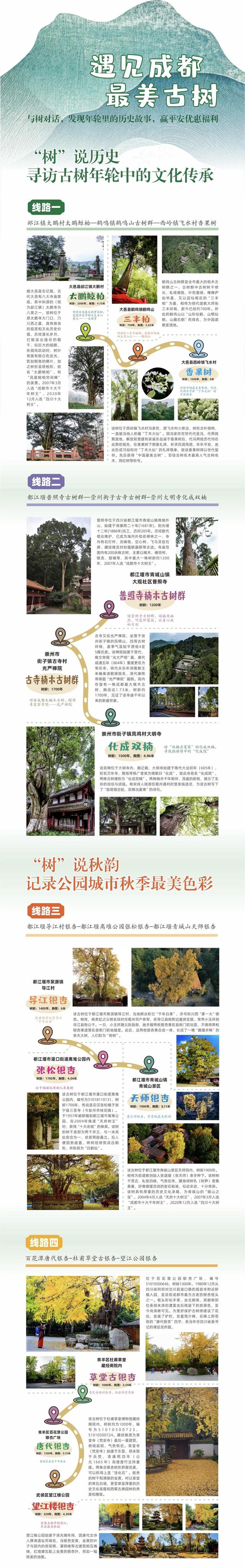 2025年古树名木守护行动来了，现场发布4条文旅路线