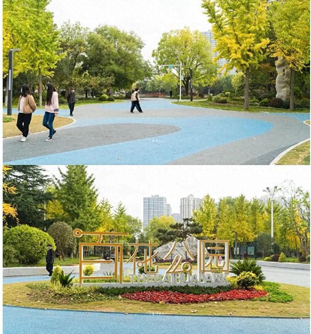 济宁冬季赏叶天花板，错过等一年的绝美景色