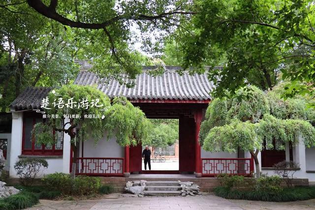 宁波镇海居然藏着一个小苏州园林，绿树掩映着亭台楼阁，值得游玩