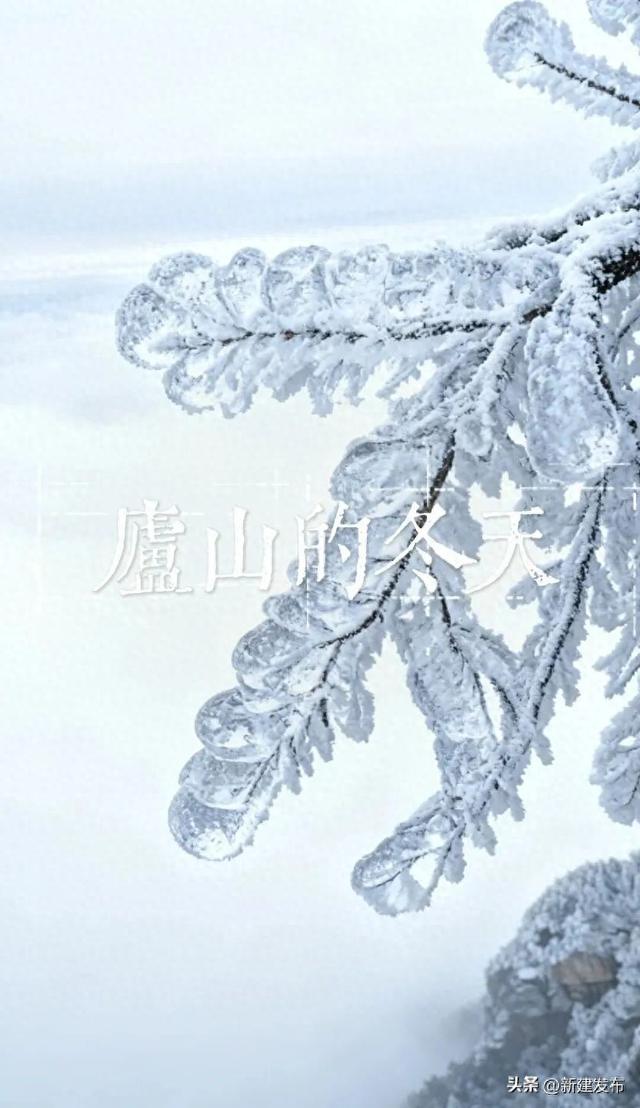 江西多地出现大片雾凇！马上又要反转！即将升温→