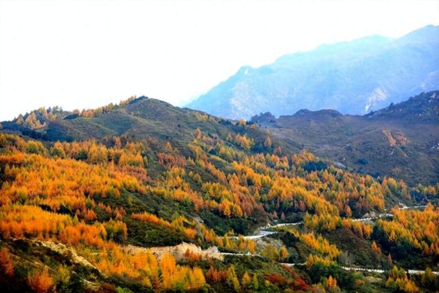【行业动态】陇南秘境：秋末冬初的山水诗行