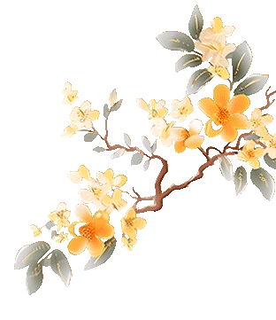 【元旦特辑】叙永县博物馆邀您共赴一场“古韵新禧”的文化之约！