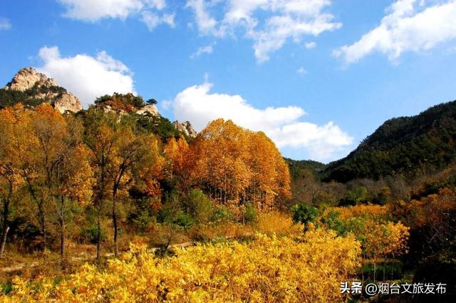 【乐游烟台】趁着秋色未散，再来昆嵛山赴一场山水之约吧~