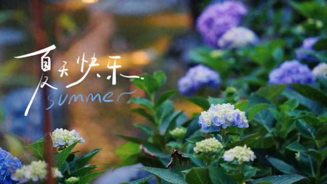 夏天，就该躲进武都的沟沟里～