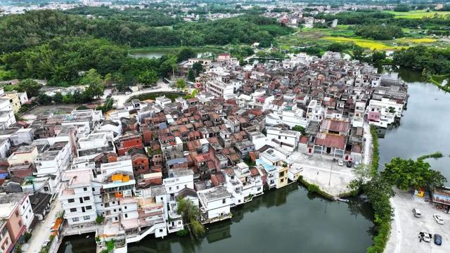 高要这条600多年的古村，有了新变化→