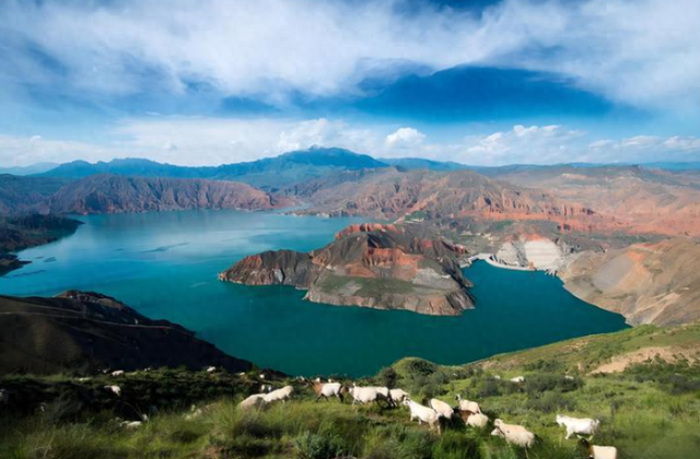 颜值变产值！青海这样点“绿”成“金”