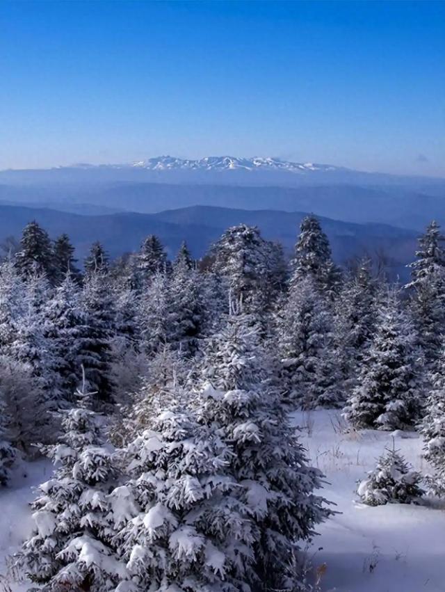 吉林白山藏着这么多神仙景点？不去一趟太可惜了！