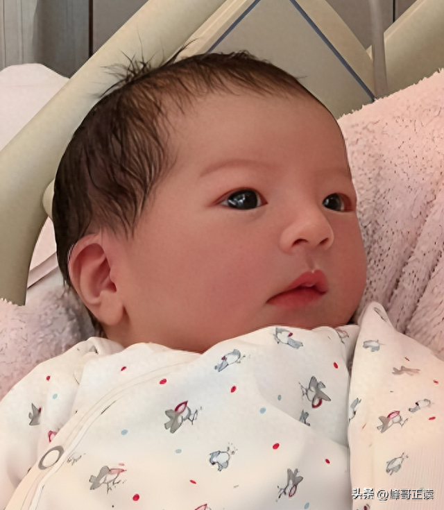 郭富城也没想到，三胎得女被群嘲不到一天，方媛就替他狠狠争光了