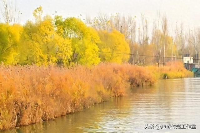 秋日白洋淀：千年水墨的自然魅力与人文故事