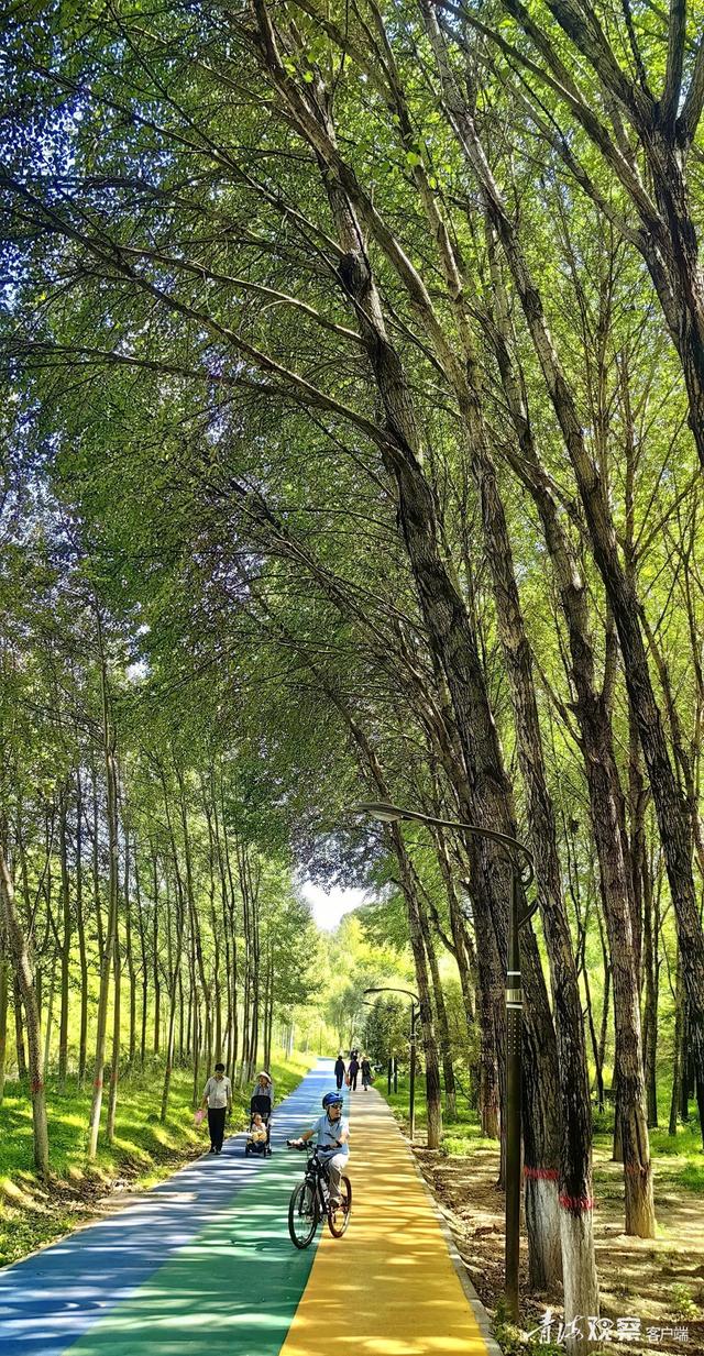 秋日西宁湟水河绿道：人在景中走 如在画中游