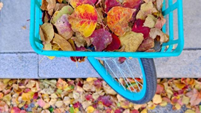 上海街头变身浪漫剧场！“落叶不扫”已上线