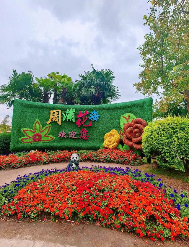 上海五大绝美花海，10月必去！第四个简直像穿越到童话世界
