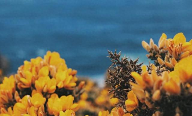 心理学：这就是“中年男女暧昧”的本质原因