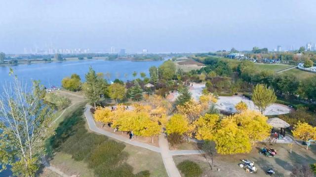 在未央 见一面这叶落启冬的浪漫