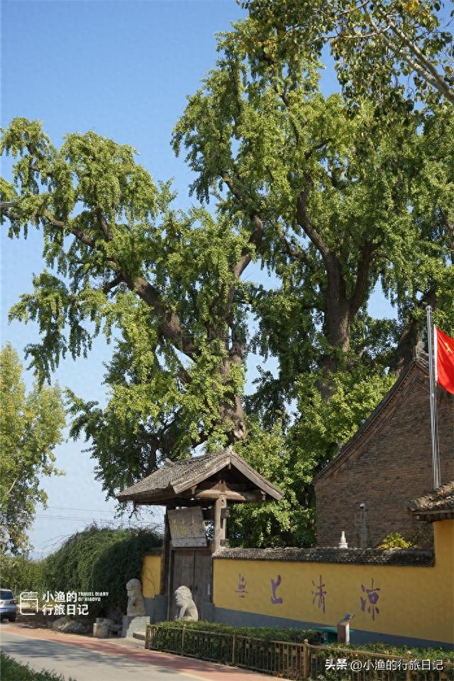 藏在秦岭的“最小”寺庙，只剩一进大殿，一棵古树占了半个院子