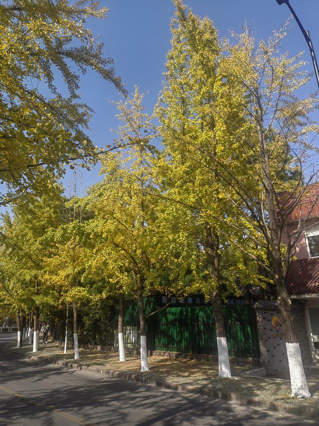 巡游嘉兴小记（2）—— 名字特别的嘉兴血印寺