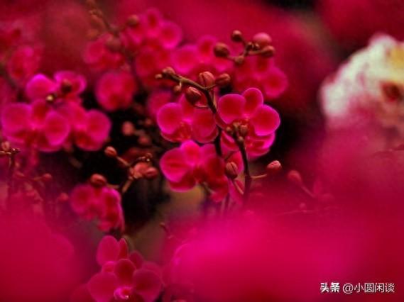 用协调有序的意思来写一句话（行有所止）