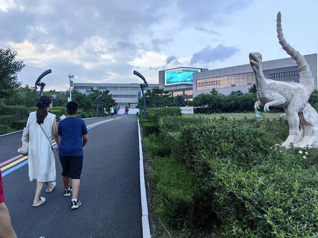 辽宁朝阳行 飞在化石上的鸟 开在化石上的花