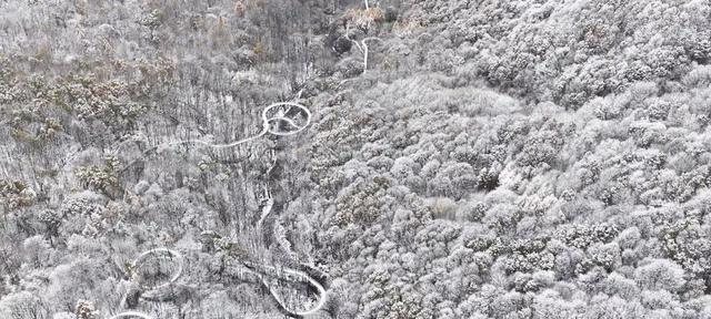 雨雾凝霜绘奇景，哈尔滨尚志帽儿山雾凇惊艳亮相