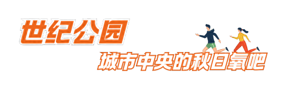 这三条慢跑路线，让你享受申城秋日风景