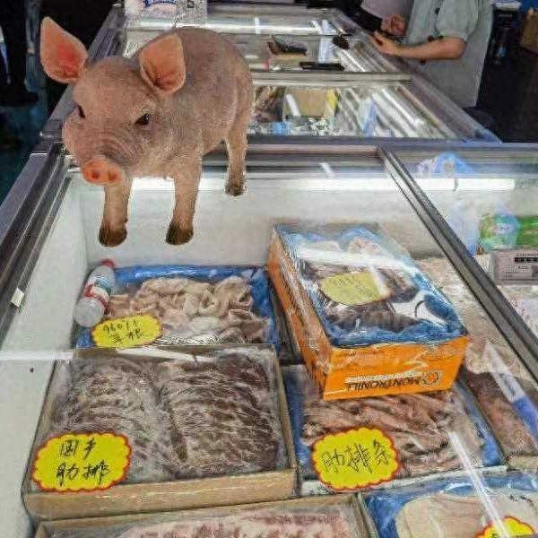 “猪肉一天一个价地往下掉	”	，繁育端陷入亏损，拐点何时出现？
