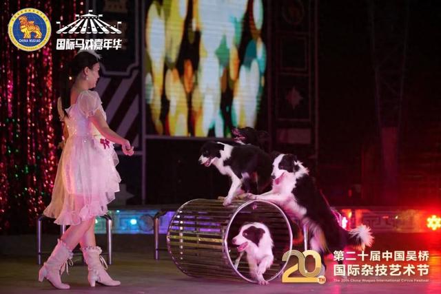 为期11天，第二十届吴桥杂技节国际马戏嘉年华璀璨启幕！