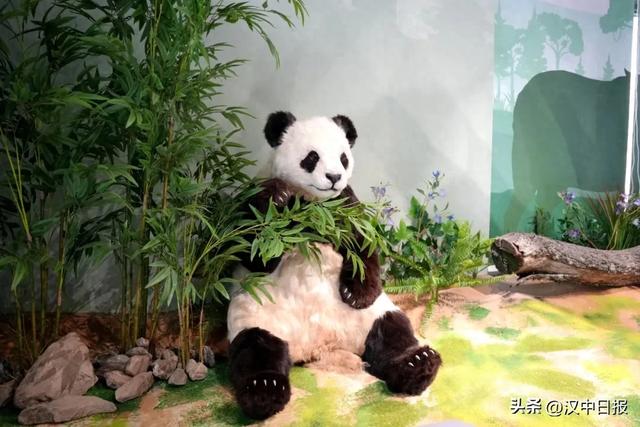 留坝秦岭生物多样性体验馆成热门打卡地