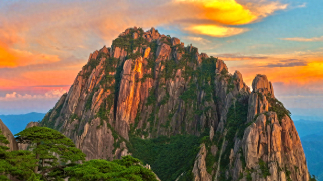 迎客松平静地说了一句心里话