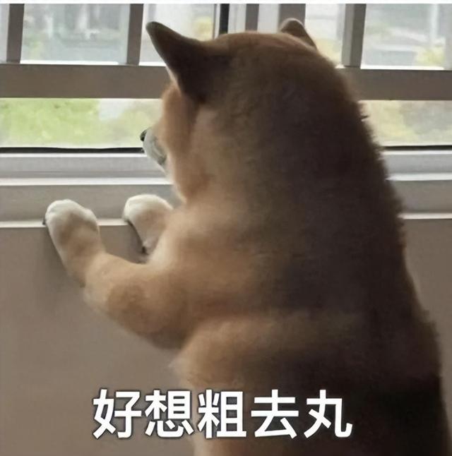 这路，多一步也不想走了！