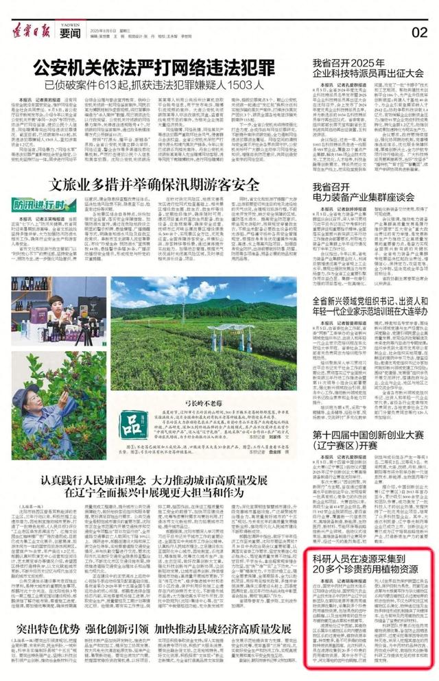 科研人员在凌源采集到20多个珍贵药用植物资源
