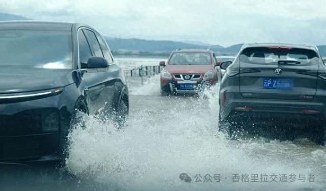 香格里拉纳帕海再现“水上公路” 这份安全指南请查收→