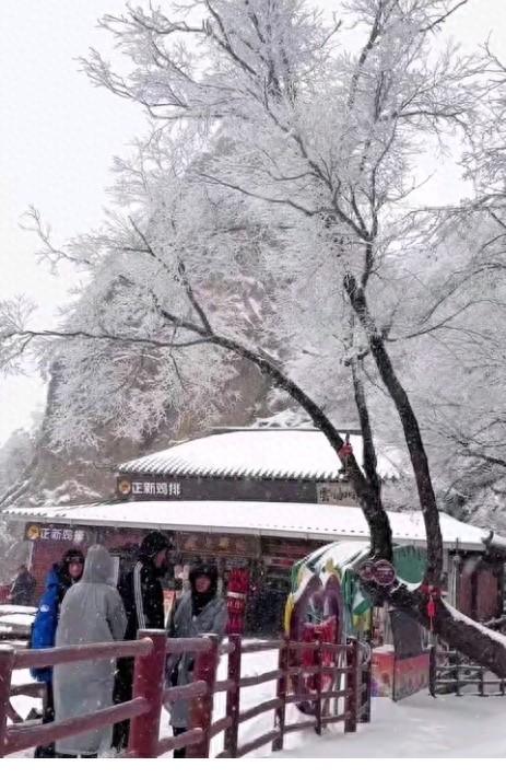 绝了！老君山大雪后的金顶在深蓝夜空下美成仙侠世界谁看了不心动