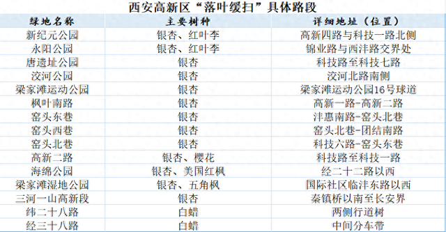让美景多留一会！西安高新区15处“落叶缓扫”点位公布