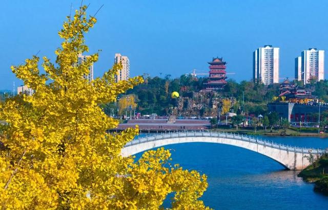 大足老城等你来命名！