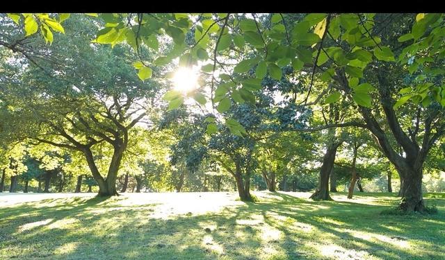 与人交谈的智慧，这三句话永远不要对熟人熟事
