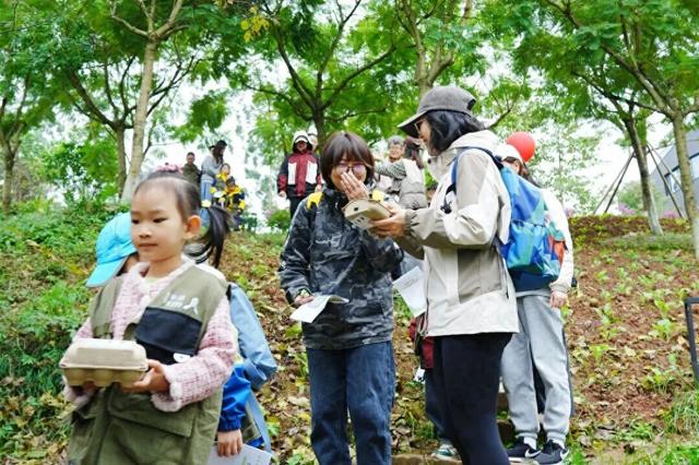 秋日“郊”友·“乡”约桃源｜收官在即，最后两天精彩不容错过