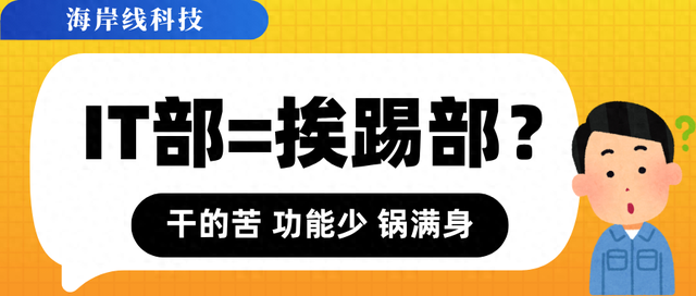 数字化IT部门=挨踢部？干得苦、功劳少、锅满身！