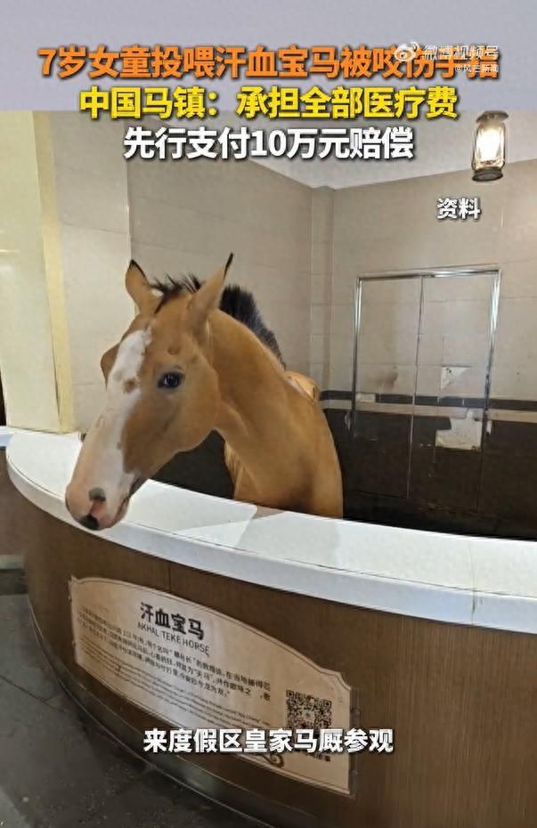 快评丨景区汗血宝马咬伤7岁女童，不能只当稀奇看