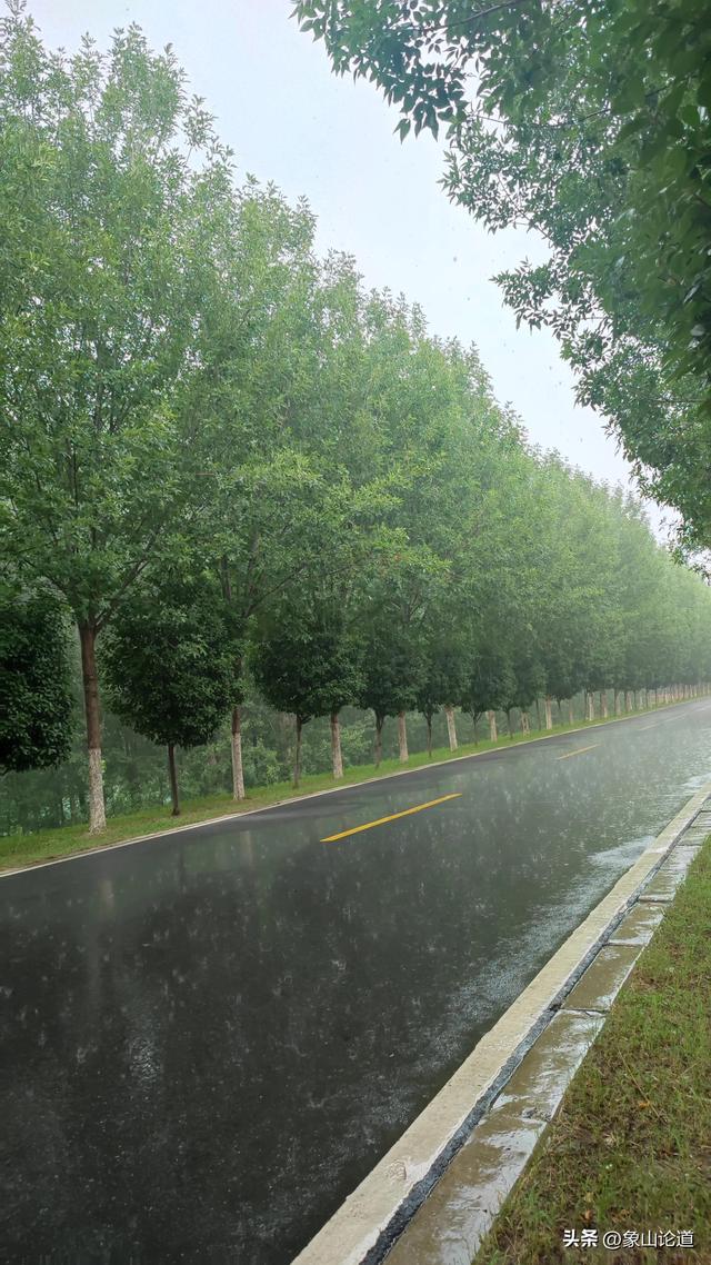 8月6日下午，开封新区水稻乡南北堤村附近大雨滂沱