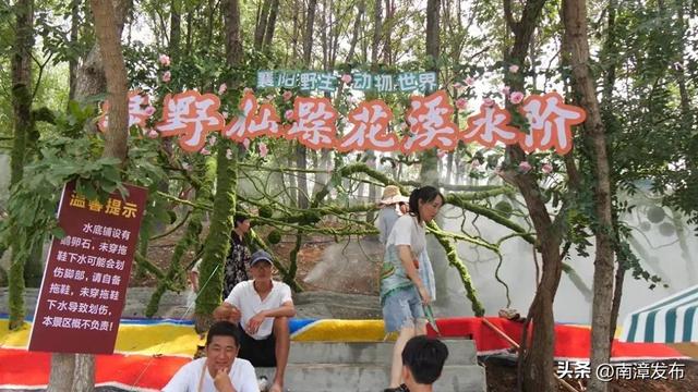 抓住暑假尾巴！千万别让孩子错过凉快有趣的动物世界