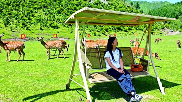 青山鹿鸣 景美民富