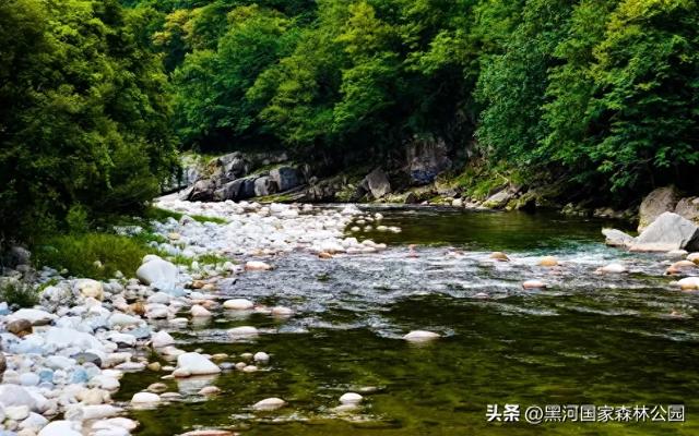 西安周边避暑天花板！凉快10℃的宝藏地！