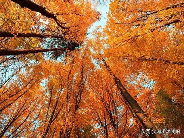 如果一个男的对一个女的说真拿你没办法有什么含义（真正厉害的人）