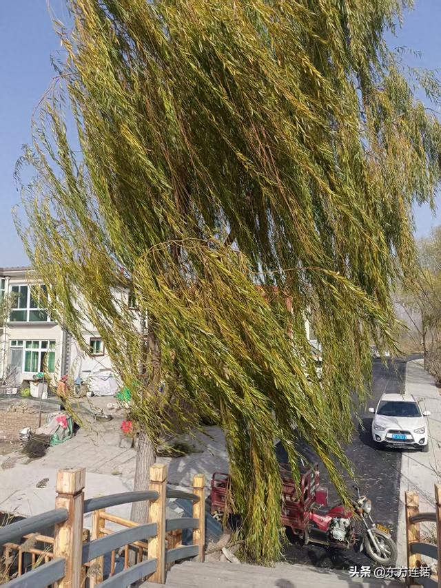 饮食笔记：在哪里吃饭