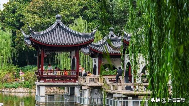 城市更新的金奖范例：“南桥源”如何做到？