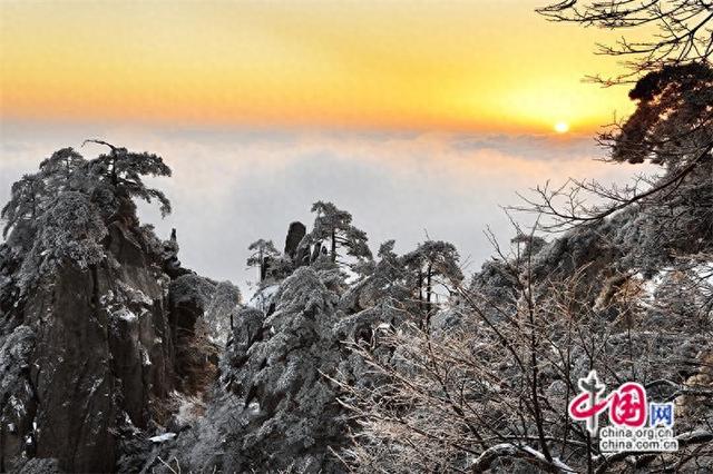 只有一个黄山：黄山雪后初霁景美如画(图)