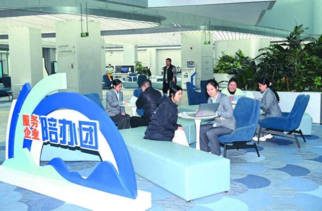 石家庄关键词排名优化（厚植沃土引凤来栖石家庄打造一流营商环境构筑近悦远来强磁场）