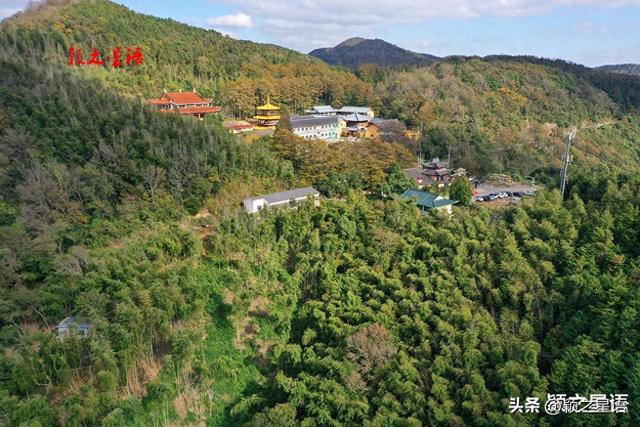 金黄耀眼的金钱松林间，隐逸的城墙如长城，有何秘密？