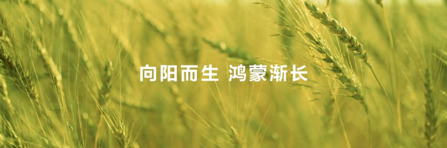 鸿蒙之光，点亮你我生活的日常